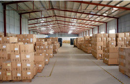 Shanghai Zanyun International Trade Co., Ltd.